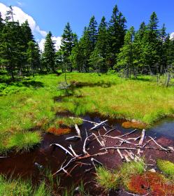Fango, Moor & Zubehör